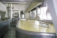 Рожищенський сирзавод боргує селянам 3,1 мільйони гривень за молоко