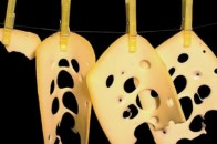На Волині розпродують «Горохівський сирзавод»