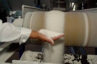 Працівникам Горохівського цукрового заводу заборгували за 3 місяці зарплату