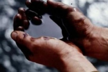 На Волині добуватимуть нафту?