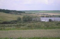140 тисяч гектарів Волинської землі обростає бур’яном