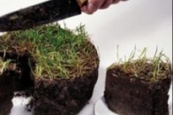 На Волині власники земельних часток отримали за оренду понад 85 мільйонів гривень