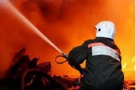 У Луцьку рятувальники врятували двох безхатченків під час пожежі