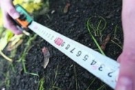 За минулий рік товаровиробники за користування землею сплатили орендарям понад 85 мільйонів гривень