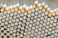 На Волині податківці вилучили 635 тисяч пачок контрабандних цигарок