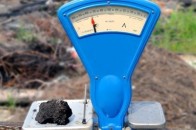 Волинська влада у 2012 році розпродала 4,2 тисячі гектарів держземель, виручивши всього 21 мільйон гривень