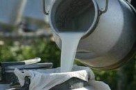 ТзоВ «Лан-Волинь» вимагає у ПАТ «Ковельмолоко» повернути їхні ж 178 тисяч гривень