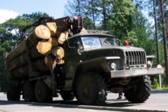 З Волині КРАЗами та УРАЛам вивозять крадений ліс