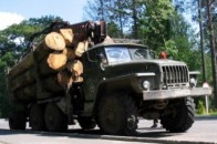З Волині КРАЗами та УРАЛам вивозять крадений ліс