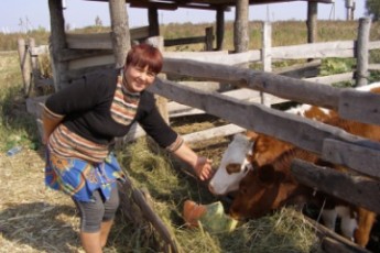 Власникам родинних ферм зараховуватимуть в стаж роботу на фермі?