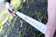 На Волині інвентаризовано майже 80% земель