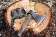 Волинські лісівники затримали чотирьох лісокрадів, які завдали збитків лісгоспу на майже 6 тисяч гривень