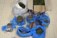 Волинянин у себе вдома зберігав 5 кілограм дурману
