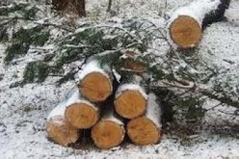 На Волині притягнули до відповідальності 15 посадовців за порушення законодавчих  актів з охорони праці