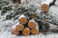 На Волині притягнули до відповідальності 15 посадовців за порушення законодавчих  актів з охорони праці