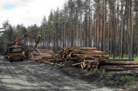 Депутати Волиньради свідомо віддали лісомисливські угіддя «під пилку»