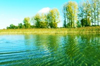 Землі на озері Світязь збираються продати на земельних торгах