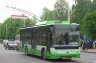 Послуги на «рогатий» транспорт зростуть