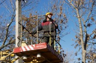 У Луцьку візьмуться за охоронні зони повітряних ліній електромереж