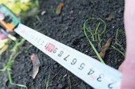 ПрАТ «Автопарк» і Луцька міськрада не могли поділити землю