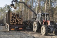 Цуманський лісгосп нарікає на аферистів, однак саме відмовляється від фінансово-економічної експертизи