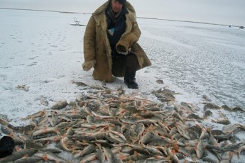 За лютий Волиньрибоохорона затримала браконьєрів з 740 кілограмами риби