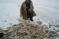 За лютий Волиньрибоохорона затримала браконьєрів з 740 кілограмами риби