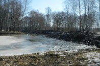 На Волині пробують врятувати Лесин будинок від утоплення