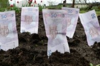 У Луцькому районі плата за землю - найвища