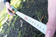 Завдяки новій Національно кадастровій системі вже зареєстровано понад 5,5 тисяч земельних ділянок