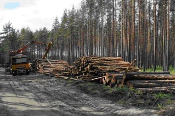 Ковельські військові частини і лісогосподарське підприємство не можуть поділити 10 гектарів лісопосадки?