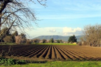 23 волинських господарства працює за проектами еколого-економічного обґрунтування сівозмін