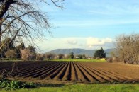 23 волинських господарства працює за проектами еколого-економічного обґрунтування сівозмін