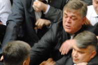 Регіонали почубились з волинським нардепом через мовне питання