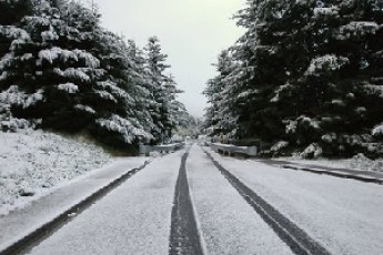 На Волині для прибирання снігу було задіяно 170 одиниць техніки дорожньо-комунальних організацій