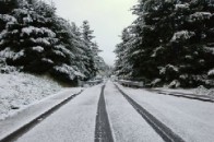 На Волині для прибирання снігу було задіяно 170 одиниць техніки дорожньо-комунальних організацій