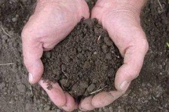 Василенко прогнозує що в 2016-му році приймуть закон про обіг земель