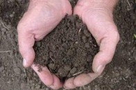 Василенко прогнозує що в 2016-му році приймуть закон про обіг земель