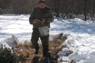 Щорічно підприємства Волинського ОУЛМГ витрачають понад мільйон гривень на придбання кормів для диких звірів