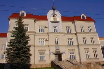 Луцький міськвиконком закупить у Єремеєва оптом пальне за цінами, вищими від ринкових