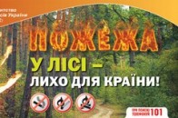 На Волині щорічно з вини населення виникає 96-98% лісових пожеж