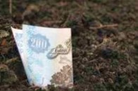 На Волині за минулий рік до місцевих бюджетів надійшло понад 100 мільйонів гривень за оренду землі