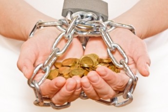 Волинські лісівники заборгували податковій інспекції півмільйона гривень