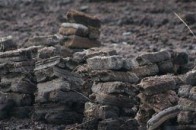 Кіпріоти заради розробки хочуть вивчити волинські торфовища