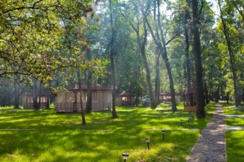 Власники готельно-ресторанного комплексу «Зелений гай» збанкрутували