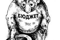 Луцький міський бюджет немає коштів для доплати працівникам ДНЗ