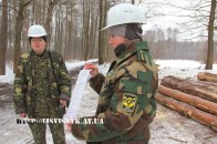 Волинські лісівники перейшли на електронний облік деревини