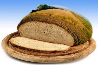 Депутат Луцької міськради: «Давайте покладемо край цинічному захопленню земель!»