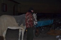 Дев'ятеро палестинських мігрантів разом з 4-річною дитиною намагались незаконно перетнути український кордон