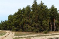 Клімчук заговорив словами Бандери